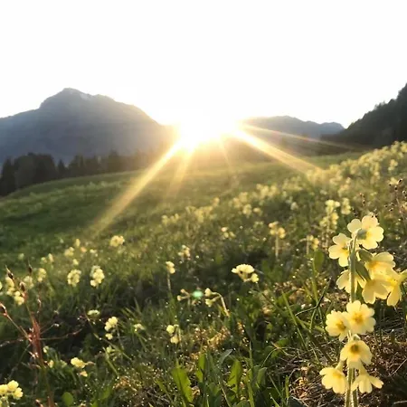 Gaestehaus Dauser Apartamento Obermaiselstein