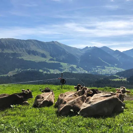 Gaestehaus Dauser Obermaiselstein