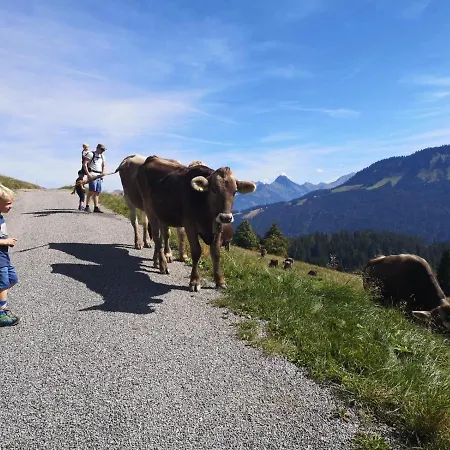 Appartement Gaestehaus Dauser Obermaiselstein
