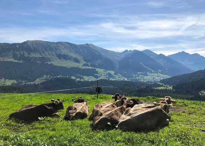 Dauser Obermaiselstein